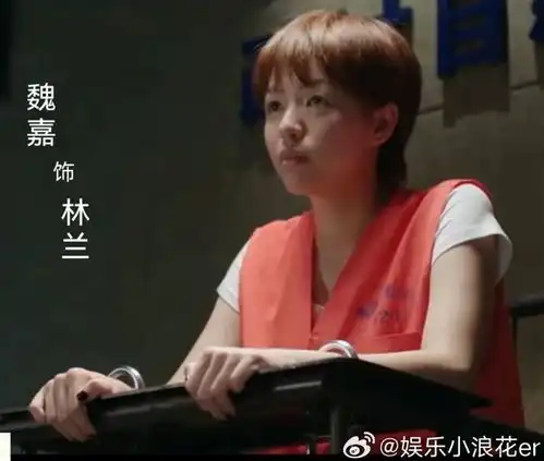高亚麟回应被曝出轨,承诺为2岁女儿上户口,私信魏嘉避谈徐梓钧
