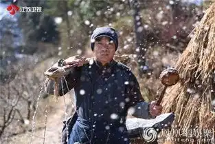观鸡毛飞上天有感
