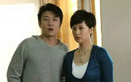 有没有鹅还记得有一部电视剧叫媳妇的美好时代添加链接
