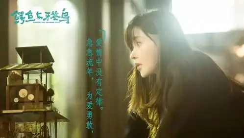 张天爱现场模仿陈柏霖台湾腔,女汉子新戏竟成搞笑担当
