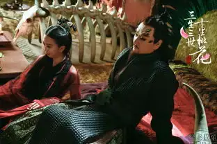 三生三世登陆深圳卫视
