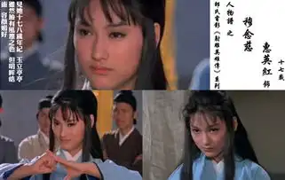 惠英红演过射雕英雄传里面的穆念慈吗