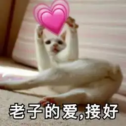 最新老子的爱收好表情包大全老子的爱请收好表情包王境泽民国合集