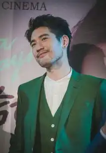 高级打工者的心酸,高以翔离世,赵丽颖录制跑男差点溺水
