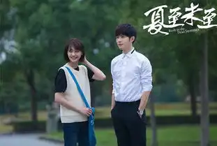 我们的童年小说梦夏至未至
