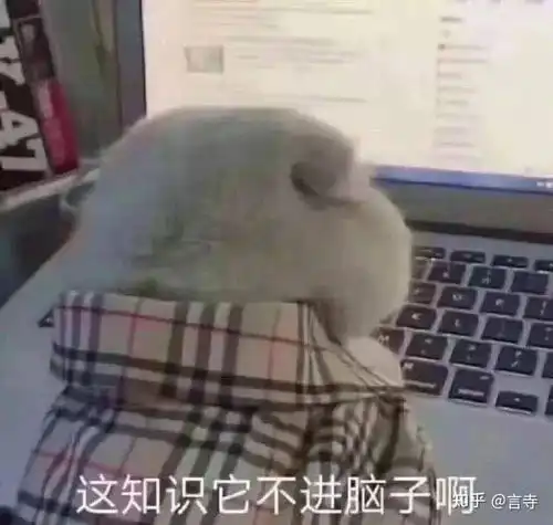 新媒体运营小白,如何快速入行
