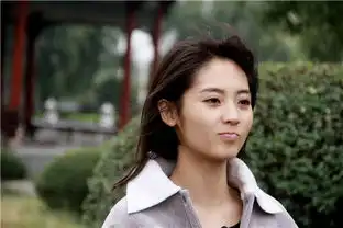 高洋演过的电视剧剧照邢