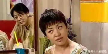 刘星家到底多有钱刘梅酷爱纪梵希小雨一天六盒哈根达斯