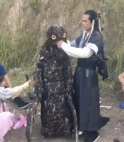 山寨版神雕侠侣开拍,杨过神似古天乐,扮演大雕一天五百
