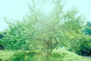 最容易被微信拉黑的聊天方式别说了互删吧
