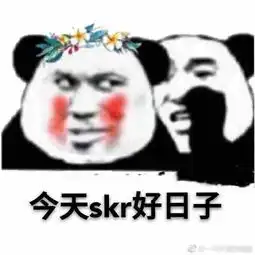 热skr人表情包大全