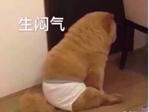 国庆幸福感不高可能是因为我上路开车了