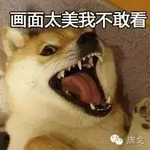 肥唐说母猴爱上男博士,四川少年偷渡到迪拜当乞
