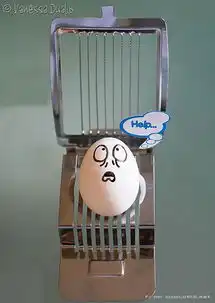 鸡蛋也疯狂