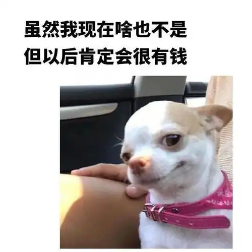 沈鼓之声现在的粉丝都疯了吗