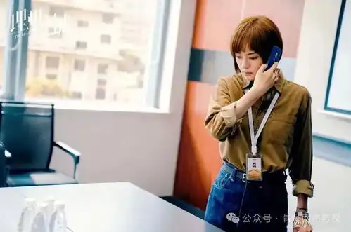 拿什么拯救你,国产职业剧
