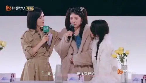 乘风2025三公分组选曲,祝绪丹卸任队长,决赛公演地点曝光
