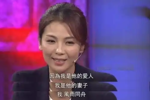 年年离婚,岁岁破产,嫁豪门替夫还债4亿,刘涛经历了什么