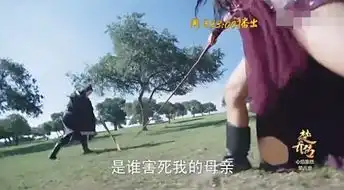 楚乔传杀害洛河凶手不是詹子瑜楚乔复仇杀其一家三代
