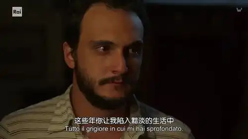 我的天才女友第三季终是无可挽回,飞蛾扑火般的出轨
