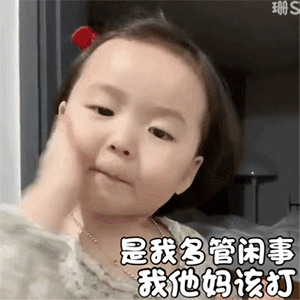 沙雕表情包你有什么可豪横的
