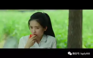 看完心旷神怡通体舒泰,我对这种电影毫无抵抗力八卦电影