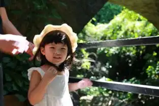 三亚游记
