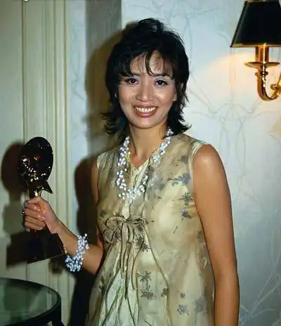 穿纸尿裤开演唱会,死后母亲败光遗产,世上再无梅艳芳
