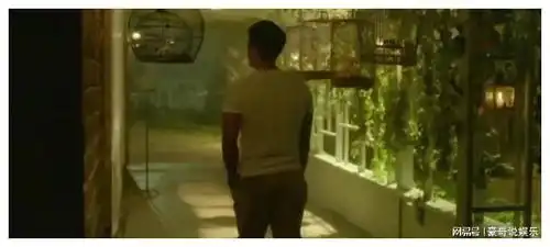 人间中毒,是顶级绿茶还是中毒似的爱情
